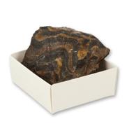 Ruben Robijn Ruben Robijn Stromatoliet Doosje (1st)