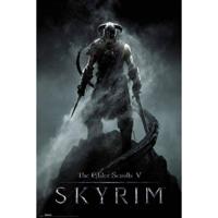 GBeye Skyrim Dragonborn Poster 61x91,5cm