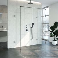 Inloopdouche Compleet XL Just Creating Profielloos 90x140 cm Gunmetal Sanitop