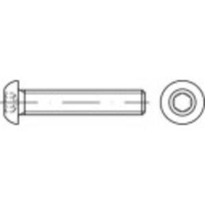 TOOLCRAFT TO-5380980 Lenskopschroeven M4 12 mm Binnenzeskant (inbus) RVS A4 1000 stuk(s)