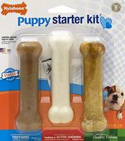 Nylabone Kauwspeelgoed voor puppy's starterset, 3 stuks (1 stuk)