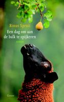 Een dag om aan de balk te spijkeren - Rinus Spruit - ebook