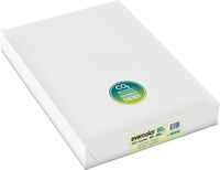 Clairefontaine Evercolor gekleurd gerecycleerd papier, A3, 80 g, 500 vel, lichtgroen