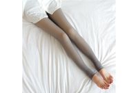 Thermo legging of fleece panty dames | Shop online