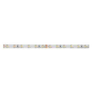 Brumberg Brumberg Leuchten 15221003 LED-strip Energielabel: F (A - G) 24 V 5 m Warmwit 1 stuk(s)