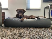 Dog's Companion® Hondenbed muisgrijs leather look extra small