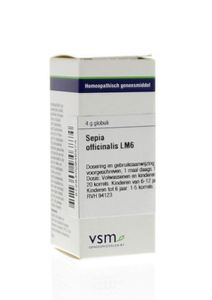 Sepia officinalis LM6