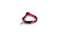 Beeztees Kitty Cat - Kittenhalsband - Rood - 23x0,8x0,2 cm