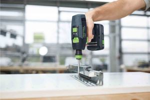 Festool PZ 2-100 CE/2 schroevendraaierbit 2 stuk(s)