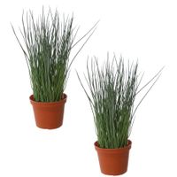 Set van 2x stuks groene grasplant Pennisetum kunstplanten in bruine kunststof pot 29 cm