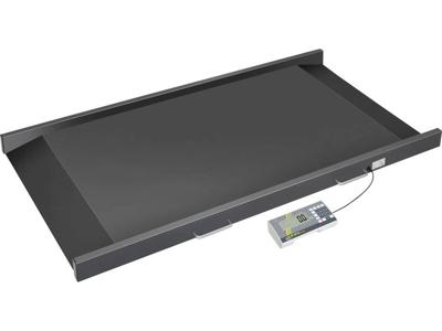 Kern MWS 300K-1LM Weegschaal voor transportbanken met geringe hoogte voor gemakkelijk oprijden - met ijkgoedkeuring en goedkeuring voor medische toepassingen