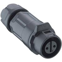 Lumberg 0260 02 Ronde connector Koppeling, recht Totaal aantal polen: 2 1 stuk(s)