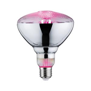 Paulmann LED-plantenlamp groei PAULMANN 230 V E27 6.5 W Barnsteen 1 stuk(s)