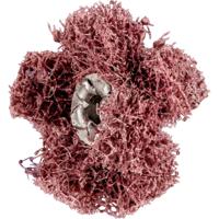 PFERD 44698254 slijp-& schuurbenodigdheid voor rotatiegereedschap