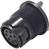 Bulgin PXP4013/12S/PC Ronde connector Bus, inbouw Serie (ronde connectoren): Buccaneer 4000 Totaal aantal polen: 12 1 stuk(s) - thumbnail