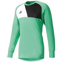 Adidas Goalkeeper Jersey Assista 17