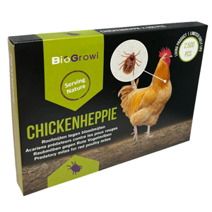 ChickenHeppie 2500