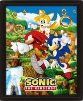 Sonic The Hedgehog 3D Lenticular Poster Catching Rings 26 x 20 cm - thumbnail