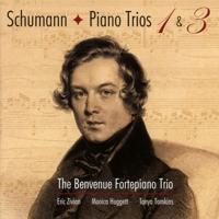 Schumann Piano Trios Nos. 1 And 3 - CD (0822252221022)