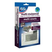 BSI Multi-Muizenval