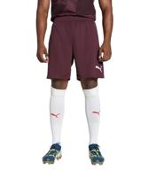 PUMA Manchester City FC 2024/25 Replica Herenshorts, Donkere Jaspis (03), M