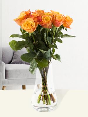 10 oranje rozen - Confidential