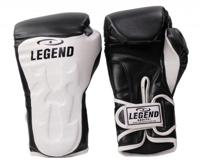 Legend Sports bokshandschoenen Power Rangers blauw/zwart