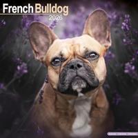 French Bulldog Calendar 2026 Square Dog Breed Wall Calendar - 16 Month