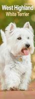 West Highland Terrier Slim Calendar 2026 Dog Breed Slimline Calendar - 12 Month