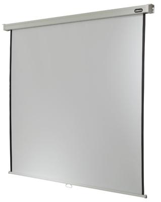 Celexon Professional projectiescherm 1:1