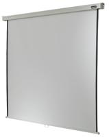 Celexon Professional projectiescherm 1:1