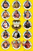 WWE Legends Chrome Poster 61x91.5cm