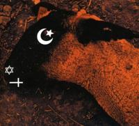 Animositsomnia - CD (0803343122442)