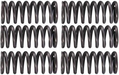 TRW Clutch spring kit mef162-6