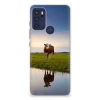 Motorola Moto G60s TPU Hoesje Koe - thumbnail