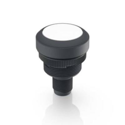 RAFI 1.10.011.001/0221 RAMO 22 T Drucktaster 35 V/DC 0.1A tastend (L x B x H) 40 x 29.8 x 29.8mm 1St