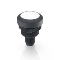 RAFI 1.10.011.001/0221 RAMO 22 T Drucktaster 35 V/DC 0.1A tastend (L x B x H) 40 x 29.8 x 29.8mm 1St