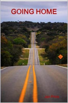 Going home - Jan Prins - eBook (9789402170696) Going home - Jan Prins - eBook (9789402170696)