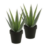 Kunstplant Aloe Vera - 2x - groen - in zwarte pot - 23 cm