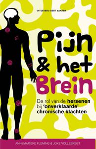 Pijn & het brein - Annemarieke Fleming, Joke Vollebregt - ebook