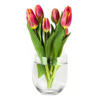 Bloemenvaas Karel - helder transparant glas - D27 x H27 cm - decoratieve vaas - bloemen/takken