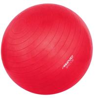 Avento Fitnessbal 65 Cm Pvc Roze 2-delig