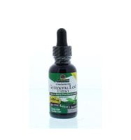 Gymnema extract alcoholvrij - thumbnail