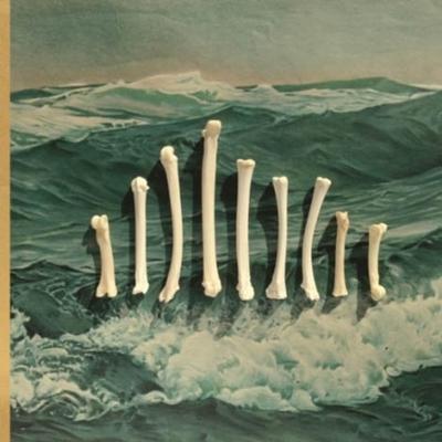 Sub Contra - LP (0790377033717) Sub Contra - LP (0790377033717)