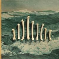 Sub Contra - LP (0790377033717)