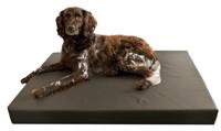 Holland Animal Care Dogbed HD, 75 x 100 cm
