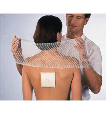 Tg Tg Fix Netverband A Rekbaar 4 Meter Vinger (1st)