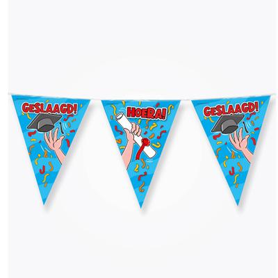 Paperdreams Vlaggenlijn - geslaagd/afstudeer feest- 10m - diverse kleuren - folie - Vlaggenlijnen