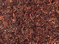 Rooibos