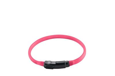 Lichtgevende Kattenhalsband Yukon Roze Lichtgevende Kattenhalsband Yukon Roze